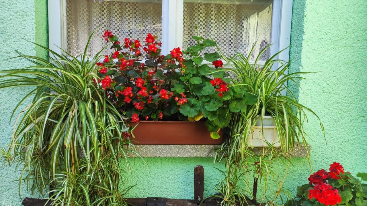 Ópusztaszeri Mózes Vendégház Exterior foto