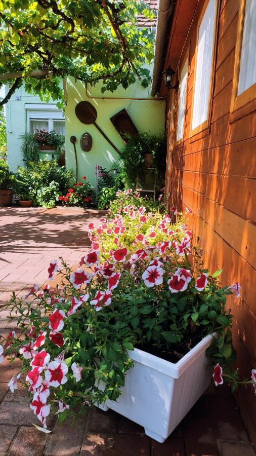 Ópusztaszeri Mózes Vendégház Exterior foto